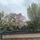 브라운도트호텔 김해시청점 이미지