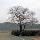 어계고택 이미지