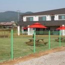 강화애견훈련학교 이미지