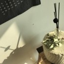 렉스O/A