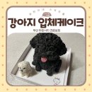 견공상회 이미지