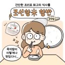 밥맛나는집 | 캠핑필수품 밥맛좋은쌀로 만든 프리미엄 즉석밥 조선향미 후기