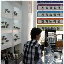쿠아안경원 Daum카페