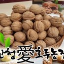 산청애 이미지