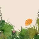 색연필 일러스트 & 보타니컬 아트 이미지