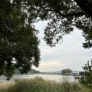 교촌치킨 온천점 이미지