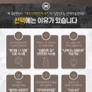 도시미 이미지