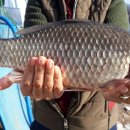 설성로 74번길 이미지