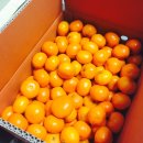 정오농장 이미지