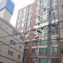 연제구-124 네이버블로그