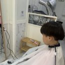 오늘은 머리하는날 이미지