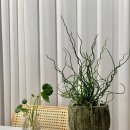 온실Flowerstudio