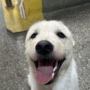 슬기유치원 이미지