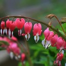 어정공인중개사사무소 이미지