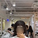173 | 도곡동미용실 단발펌 예쁘게 잘하는 헤어살롱173 후기(나나 단발펌)