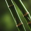 명문국어논술학원 이미지