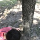 송수초교 병설유치원 이미지