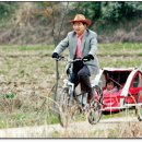 a bicycle hauling a cart 이미지