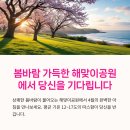 매탄2동 111-137~매탄2동 111-156 | 오륙도 수선화 개화현황