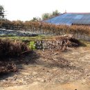 와초리농장 이미지