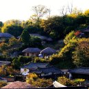 (주)경주산림환경 이미지