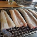 바람난장어 이미지