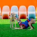 파주힐링몽 이미지