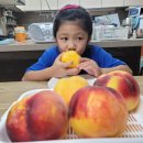 큰골농원 이미지