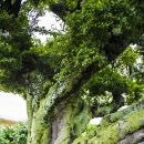 하가리경로당 이미지