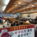 [판교 맛집] 려원쭈꾸미볶음 직장인 점심 메뉴 고민 해결