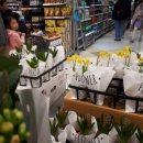 가족키즈펜션안덕 이미지