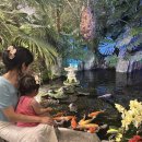 선일화원 이미지