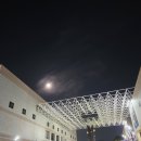 (공연) 정트리오 | 창원 뮤직페스티벌 | 바이올리니스트 김연아 공연 후기