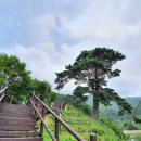 청산식당 이미지