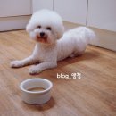 먹고가개 이미지