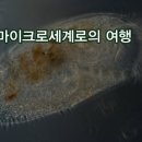 갯벌농장 이미지