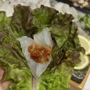 아산사랑회 이미지