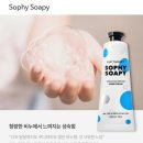 홀리카홀리카경주점 | 2026년 올리브영 6월 세일 쇼핑 리스트 🛍