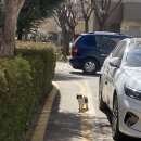쏘스윗 Daum카페