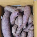 거산(아) | 자색고구마 거산고구마 후기