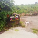 애견동반제주도여행! 샤론의집 펜션 솔직한후기