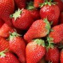 신승관 외 1인(김은정) | [공지] + 부산 Dismoi 초청 "12월 M 모드 디저트 사진 수업 " 부산 특강