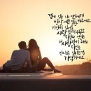 보슬보슬 Daum카페
