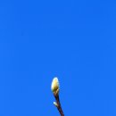 도마초등학교 이미지