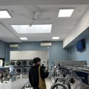 로타리세탁소 | 🇺🇸뉴욕(4)::윌리엄스버그/브로드웨이 로터리/아폴로베이글/도미노파크 피크닉/씨티바이크 렌탈/돌진하는...