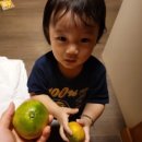 탐라민박 | 아가와 함께 하기 좋은 애월숙소 탐라별채