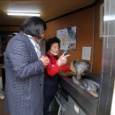 일상의 각별한 기행 이미지