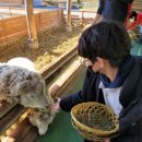 승연목장 이미지