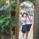 대장게임장 이미지