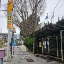 금정-2 이미지